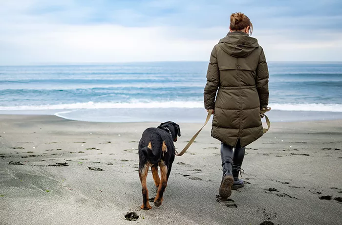 woman walking dog on beach