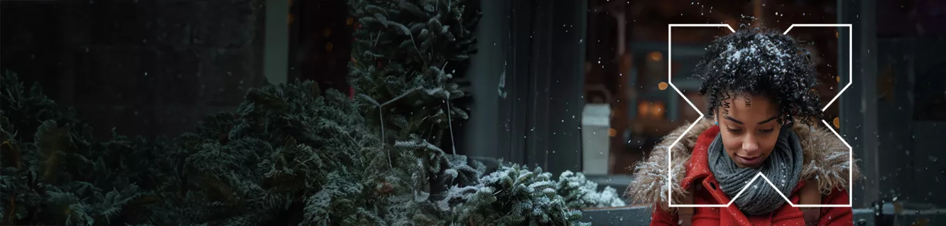 Pluxee Christmas banner 