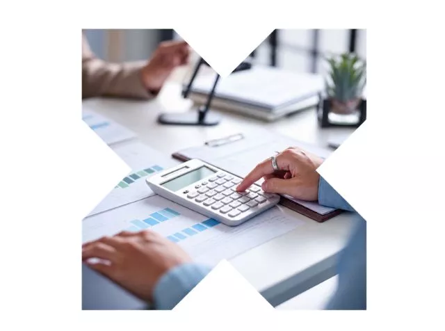 professional services