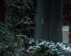 Pluxee Christmas banner