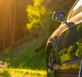 electric car surrounded by greenery