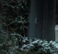 Pluxee Christmas banner