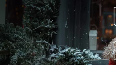 Pluxee Christmas banner